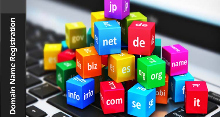 Domain Name Registration at E-Saver Technologies Market Leader for Web Hosting Solutions and; Services 
